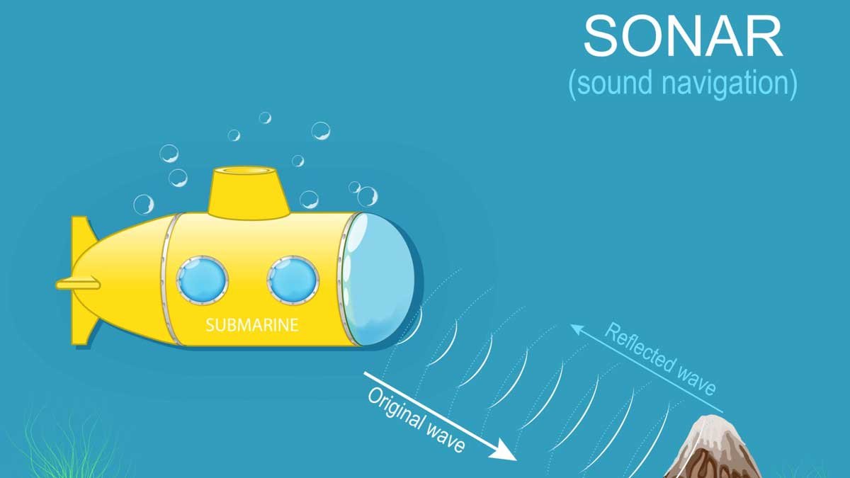 Fungsi dan Teknologi Sonar pada Kapal: Cara Kerja dan Kegunaan